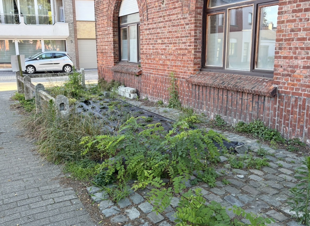 Voor tuinrenovatie